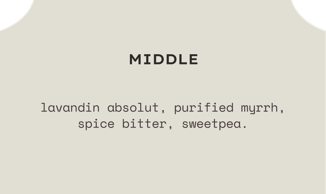 PLOT TWIST eau de parfum — middle notes
