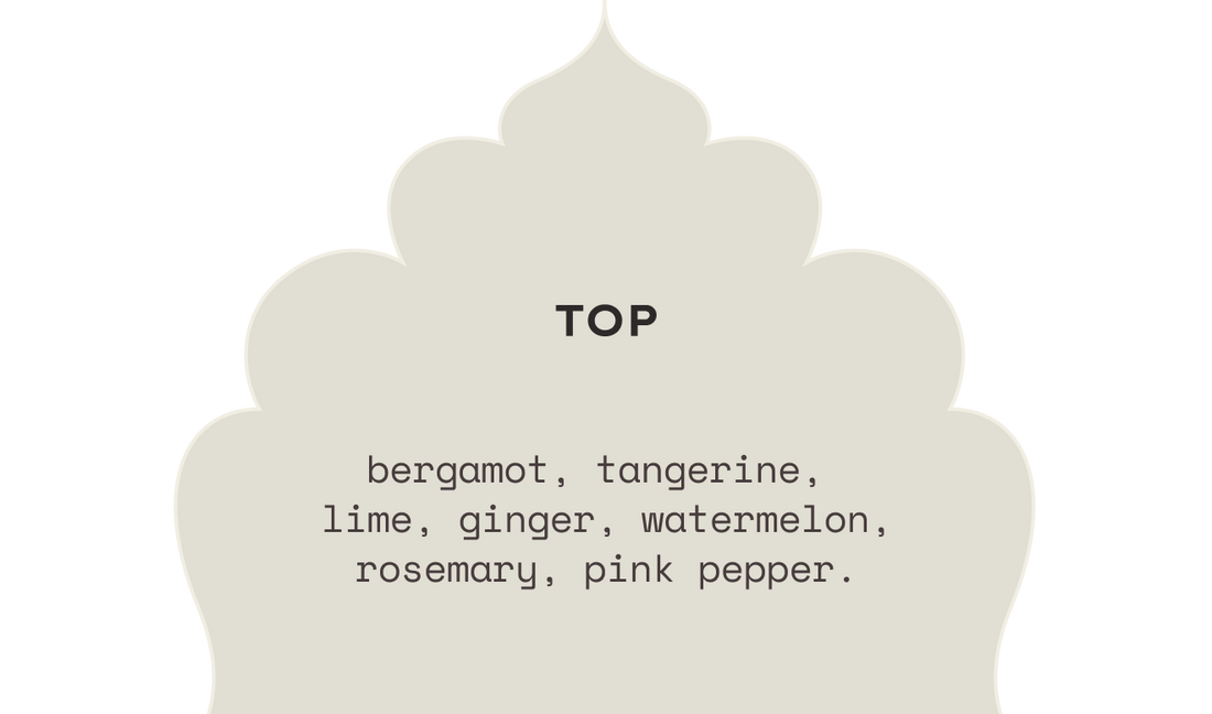 PLOT TWIST eau de parfum — top notes